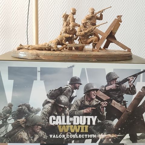 Call of Duty WW2 Valor Collection Editions (bysten)