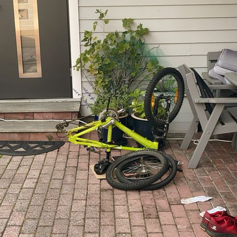 20’ Sykkel, trenger nytt bakhjul!