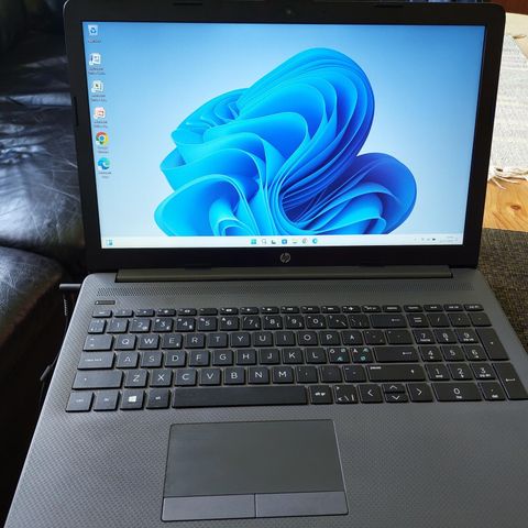 HP 255 G7, 15.6", Ryzen 5, 8GB DDR4/256GB NVMe, Win 11, Off. 2007, sleeve