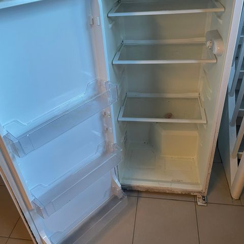 Kjøleskap