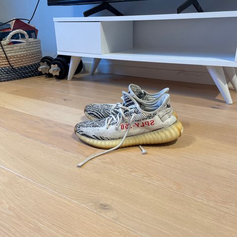 yeezy zebra