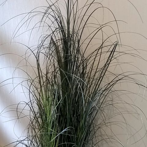 kunstig plante / silkeblomst gress 130 cm