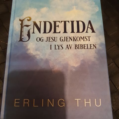 Erling  Thu: Endetida