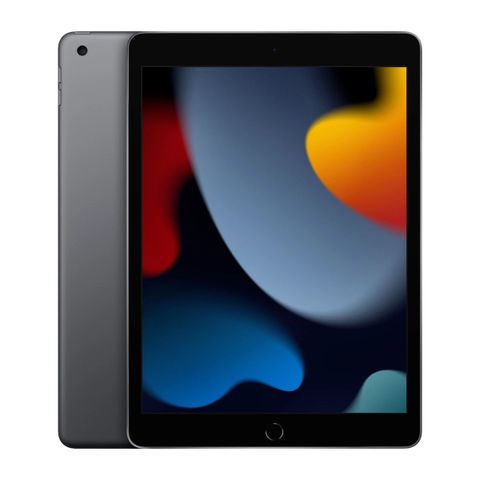 Apple iPad 10,2" WiFi 256 GB Stellargrå