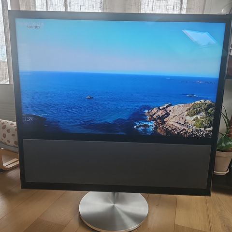 Bang & Olufsen Beovision 11-46