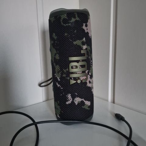 JBL Flip 6