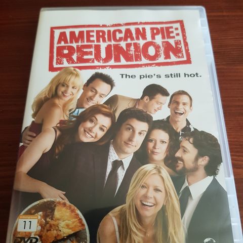 American Pie reunion