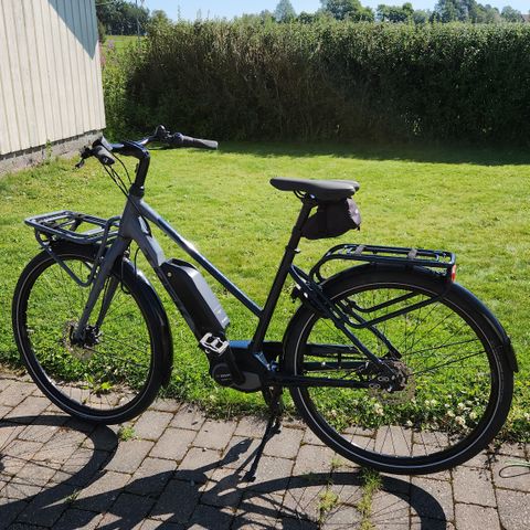 Trek District +2 med bosch motor