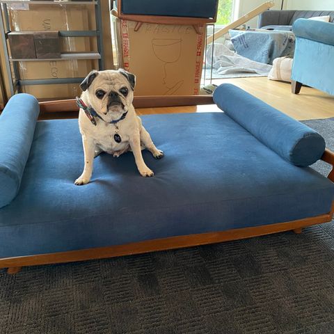 Large Custom Dog Bed