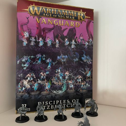 Warhammer Age of Sigmar Disciples of Tzeentch Spearhead box