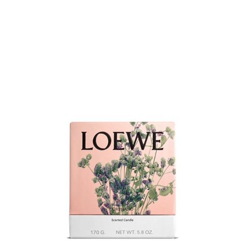 Loewe lys