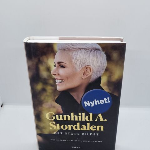 Det store bildet - Gunhild A. Stordalen