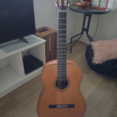 Framus Werke Bavaria akustisk gitar