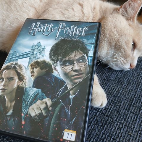 Harry Potter og dødstalismanene del 1 - DVD