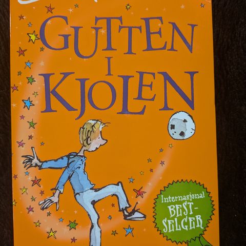 Bok Gutten i kjolen