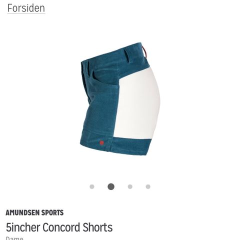 Amundsen shorts