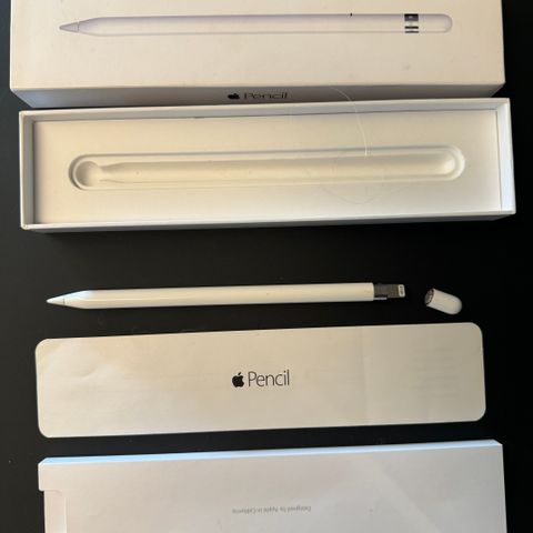 Apple 1. gen. Pencil