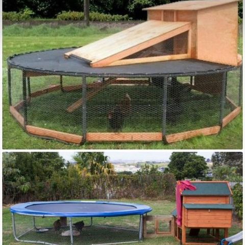 Hjemmelaget hønsehys - gammel trampoline
