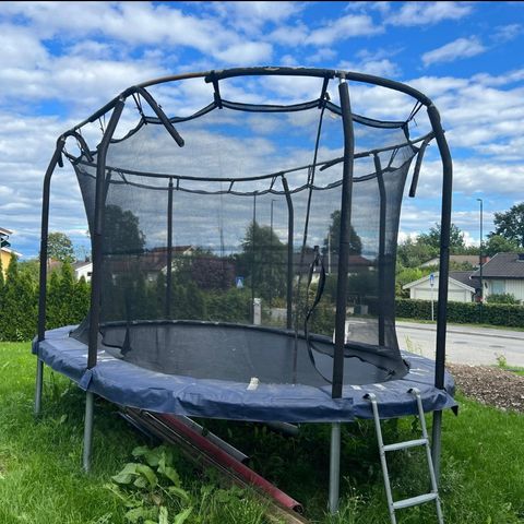 Jump King - oval trampoline
