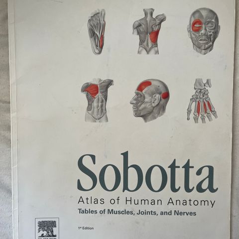 Sobotta Atlas of Human Anatomy Tables of Muscles, Joints, and Nerves