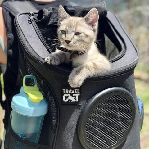 Travel Cat Backpack - Ta med katten din på tur :)