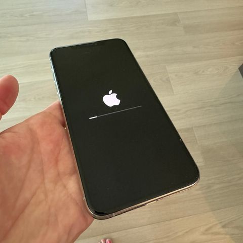 iPhone pro max 11 64gb