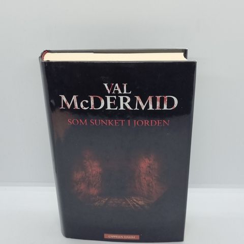 Som sunket i jorden - Val McDermid