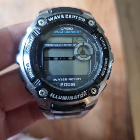 Casio 3139