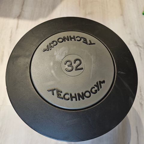 Technogym 32 kg manual/hantel