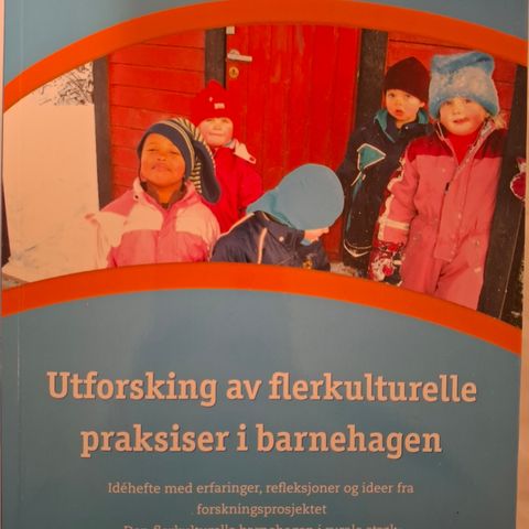 Utforskning av flerkulturelle praksiser i barnehagen. Oplandske Bokforlag