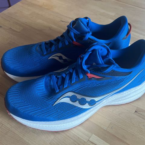 Saucony Triumph 21 herre i størrelse 46