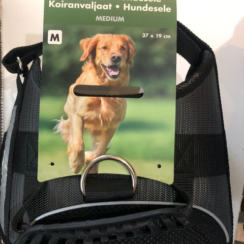 HUNDESELE