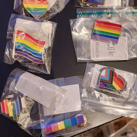 LGBTQ+ Pride pins