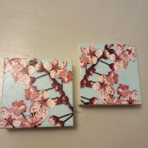 🌸To søte, små lerret med decoupage🌸