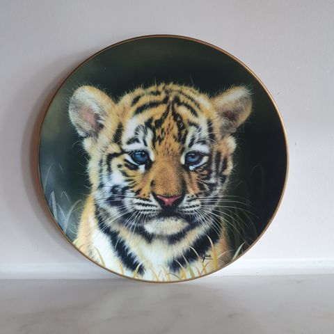 Tiger Cub Plate by Gua