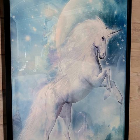 Unicorn bilder