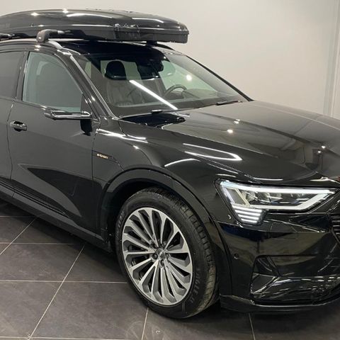 Skiguard 830 med Thule wingbars til Audi e-tron