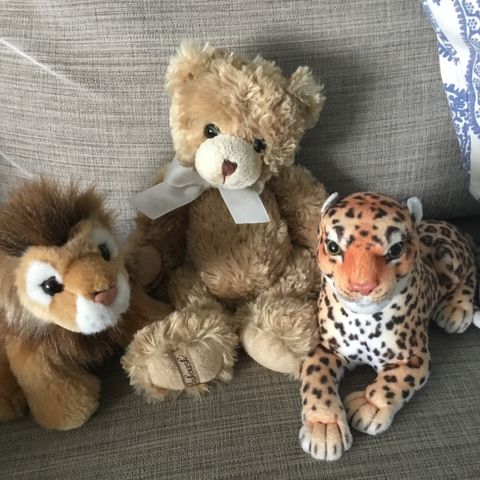 Bamse, tiger og en løve