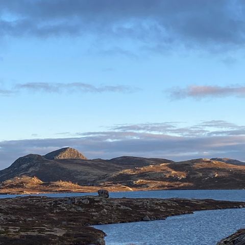 Fjellfiske  med hytte  sesongutleie