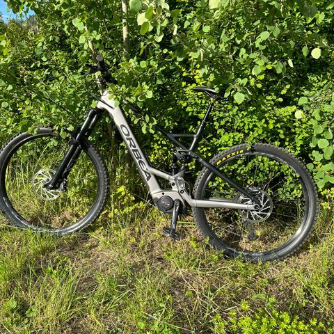 Orbea Wild FS30