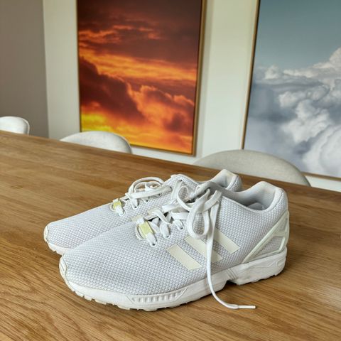 Adidas sko 47 1/3