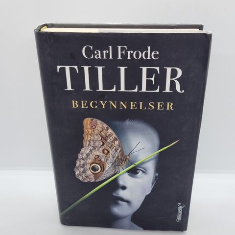 Begynnelser  - Carl Frode Tiller