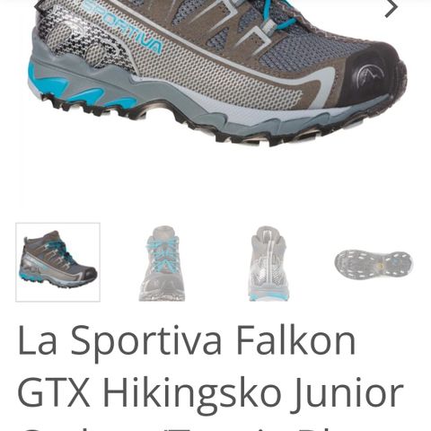 Goretex sko fra La Sportiva i str 36