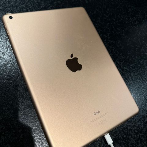 iPad 10.2 (2020)