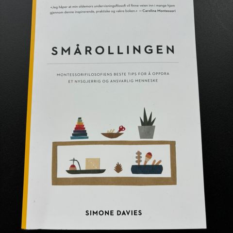 Smårollingen av Simone Davids