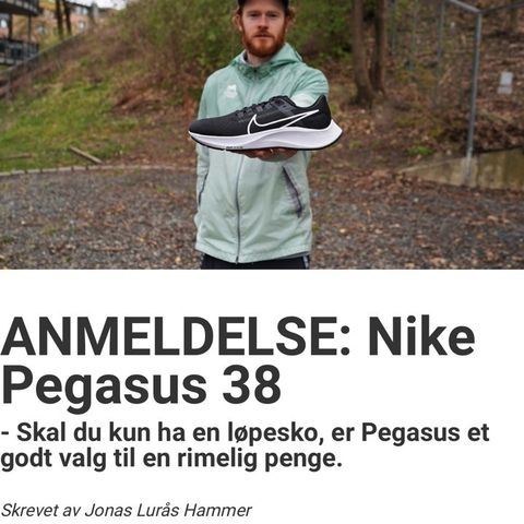 Nike air zoom pegasus 38 løpesko