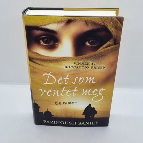 Det som ventet meg - Parinoush Saniee