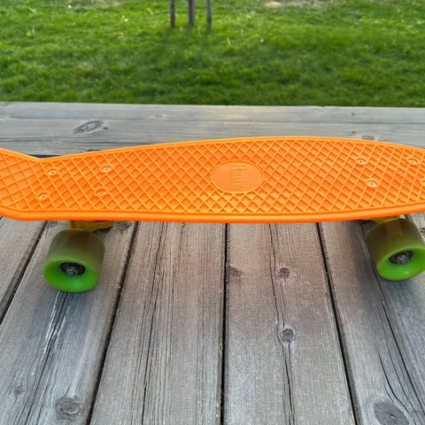 Penny Board Mini