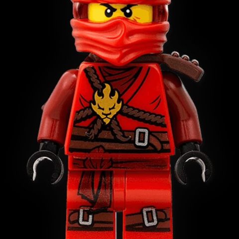 Ninjago Kai Honor robes day of the departed