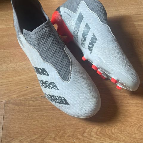 Adidas Predator Laceless